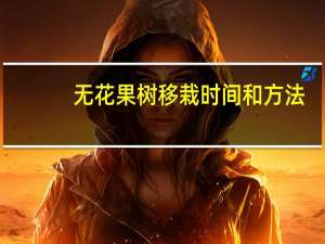 无花果树移栽时间和方法