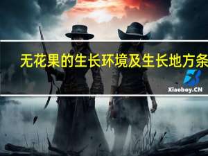 无花果的生长环境及生长地方条件