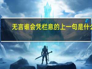 无言谁会凭栏意的上一句是什么