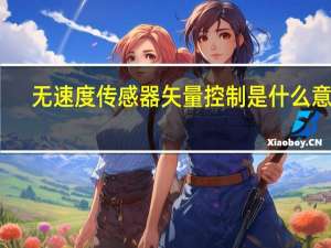 无速度传感器矢量控制是什么意思