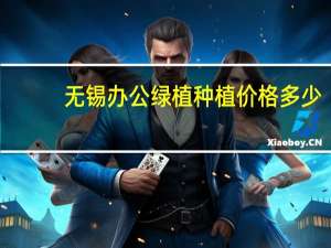 无锡办公绿植种植价格多少