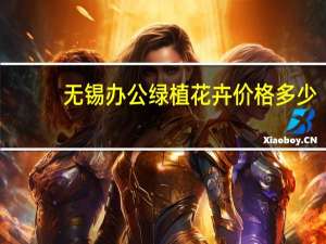 无锡办公绿植花卉价格多少