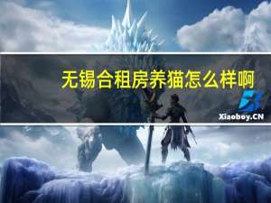 无锡合租房养猫怎么样啊