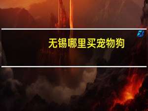 无锡哪里买宠物狗
