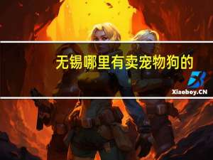 无锡哪里有卖宠物狗的