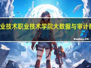 无锡商业技术职业技术学院 大数据与审计都学哪些课程