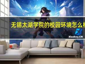 无锡太湖学院的校园环境怎么样