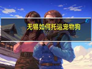 无锡如何托运宠物狗