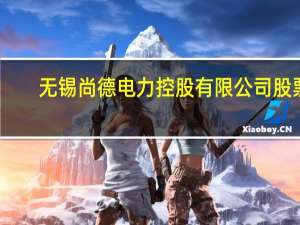 无锡尚德电力控股有限公司股票（施正荣-无锡尚德电力控股有限公司前任董事长介绍）