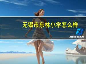 无锡市东林小学怎么样