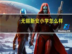 无锡新安小学怎么样