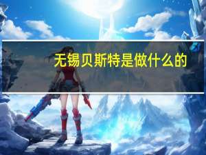无锡贝斯特是做什么的
