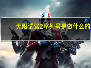无限试驾2序列号是做什么的（无限试驾2序列号）
