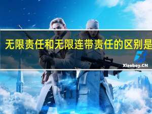 无限责任和无限连带责任的区别是什么