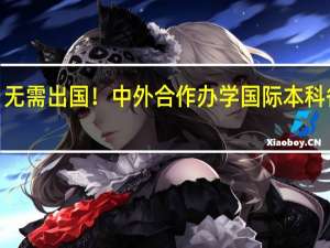 无需出国！中外合作办学国际本科各个4+0院校招生和申请要求说明
