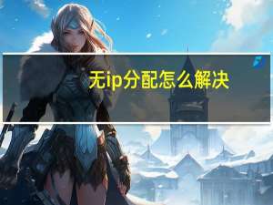 无ip分配怎么解决