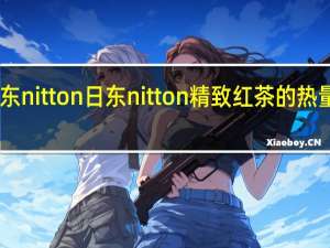日东nitton 日东 nitton 精致红茶的热量是多少