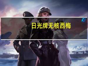 日光牌 无核西梅(罐装)的热量是多少