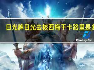 日光牌 日光去核西梅干卡路里是多少