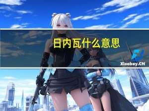 日内瓦什么意思