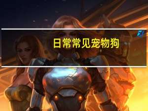 日常常见宠物狗