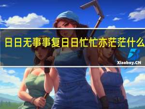 日日无事事复日日忙忙亦茫茫什么意思