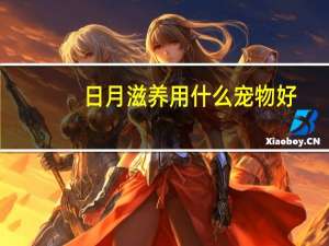 日月滋养用什么宠物好