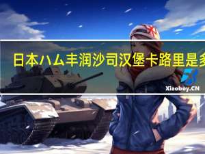 日本ハム 丰润沙司汉堡卡路里是多少