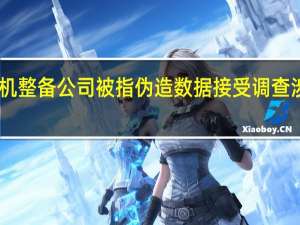 日本京王重机整备公司被指伪造数据接受调查 涉数百家公司违规