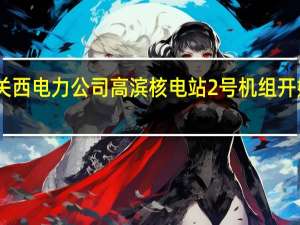 日本关西电力公司高滨核电站2号机组开始发电送电