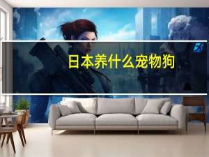 日本养什么宠物狗