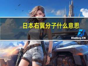 日本右翼分子什么意思
