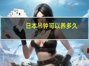日本吊钟可以养多久