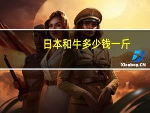 日本和牛多少钱一斤