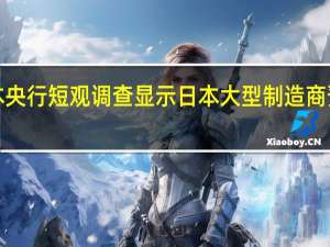 日本央行短观调查显示日本大型制造商预计2023/24财年美元兑日元平均汇率为133.91