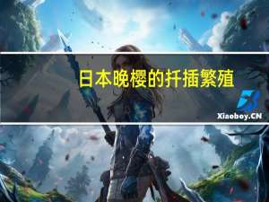 日本晚樱的扦插繁殖