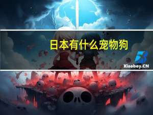 日本有什么宠物狗