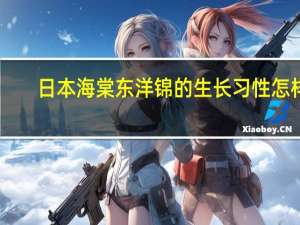 日本海棠东洋锦的生长习性怎样