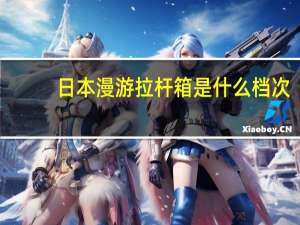 日本漫游拉杆箱是什么档次