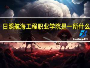 日照航海工程职业学院是一所什么大学