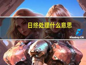 日终处理什么意思