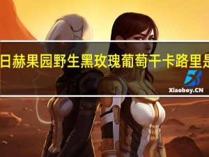 日赫果园 野生黑玫瑰葡萄干卡路里是多少