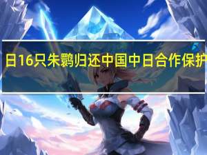 日16只朱鹮归还中国 中日合作保护成果
