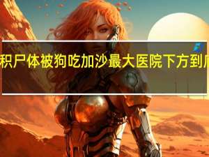 早产儿无保温箱、堆积尸体被狗吃加沙最大医院下方到底有没有哈马斯的指挥中心？ 到底什么情况嘞