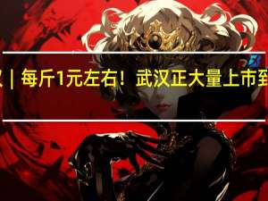早安武汉︱每斤1元左右！武汉正大量上市 到底什么情况嘞