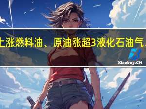 早盘开盘国内期货主力合约多数上涨燃料油、原油涨超3%液化石油气（LPG）、低硫燃料油（LU）涨超2%跌幅方面沪银跌超0.5%焦炭跌0.4%