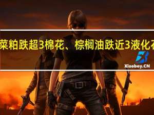 早盘收盘国内期货主力合约多数下跌菜粕跌超3%棉花、棕榈油跌近3%液化石油气（LPG）、集运指数（欧线）跌超2%涨幅方面烧碱涨超1%