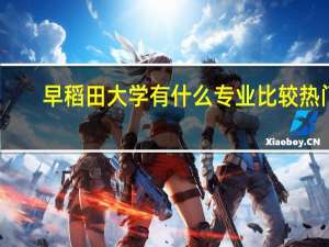 早稻田大学有什么专业比较热门