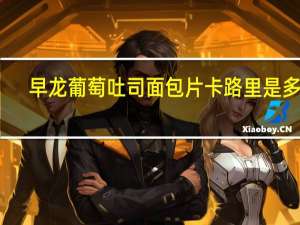 早龙 葡萄吐司面包片卡路里是多少