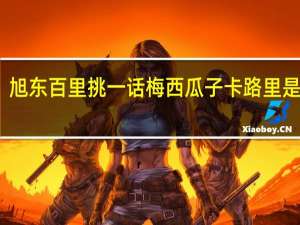 旭东 百里挑一 话梅西瓜子卡路里是多少